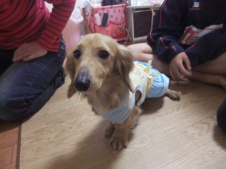 早速衣装お披露目