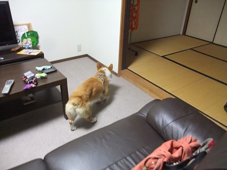 ここは何かな?