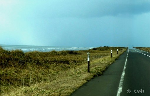 01road_copy.jpg