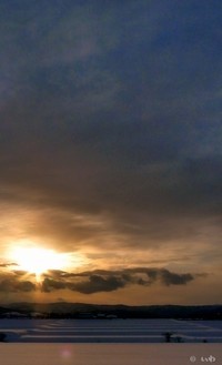 クリックで拡大 P1030195.jpg