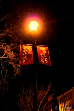 街灯 P1030337.jpg