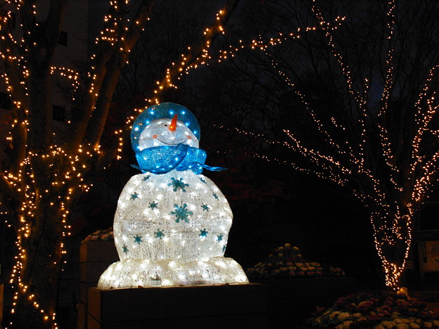 今年も現れたSnowman *ｃ