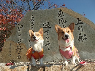 2009_1123岡山にて0183