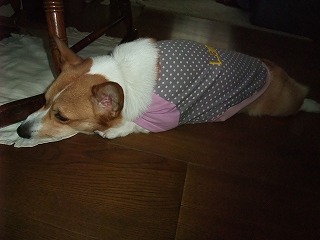 2009_1217ろんたんちにおじゃま0063