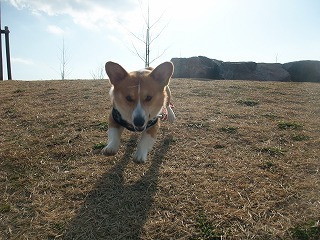 2010_0124みなと公園0020