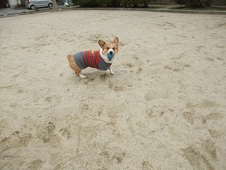 2010_02170006