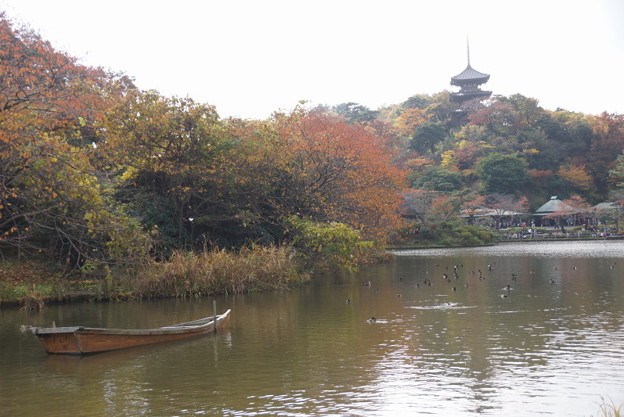 三渓園の紅葉風景2014