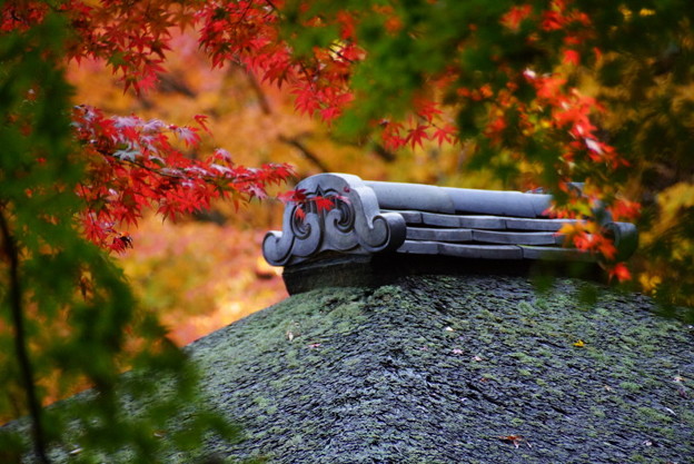 聴秋閣の屋根と紅葉2014