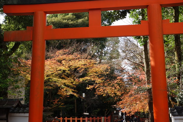 晩秋、紅葉が残る八坂神社!2014