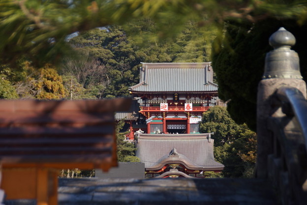 鎌倉鶴岡八幡宮