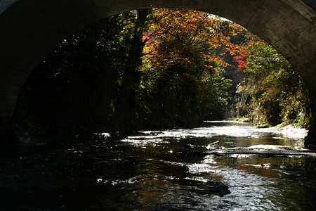 滑川の紅葉風景091212-866