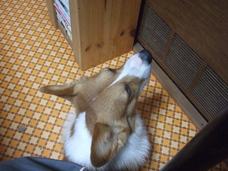 DSCF4384