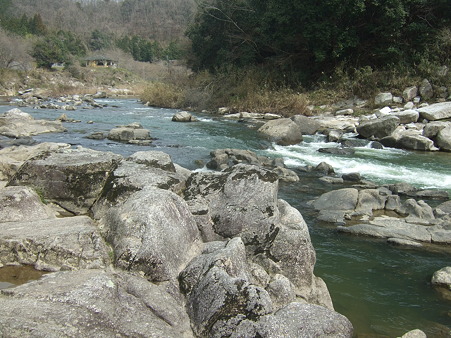 DSCF4610