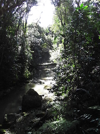 ３０．昨日が雨だったので、ぬかるんだ、険しい山道でした～！