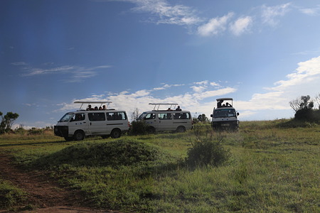 DPP_1734