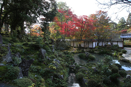 西明寺 - 06