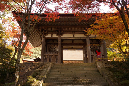 西明寺 - 10