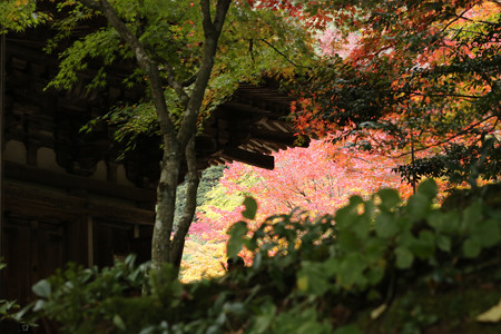 西明寺 - 16