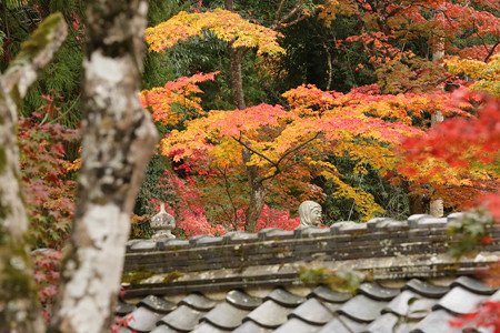 西明寺 - 20