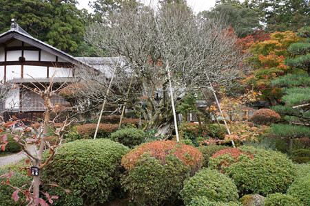 西明寺 - 22