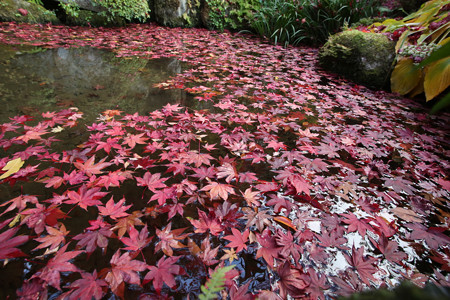 金剛輪寺 - 011