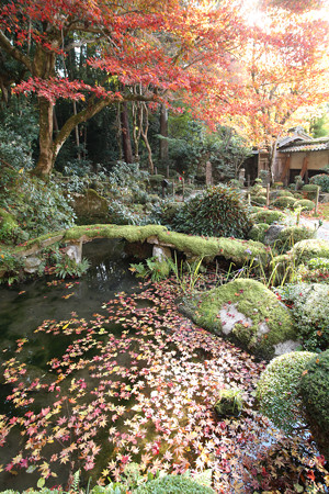 金剛輪寺 - 020