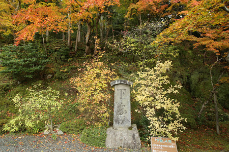 百済寺 - 04