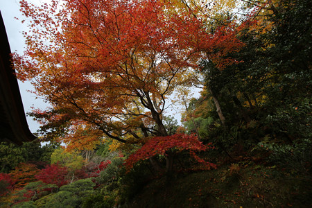 百済寺 - 05