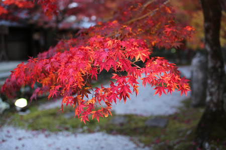 永源寺 - 017