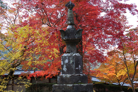 永源寺 - 018