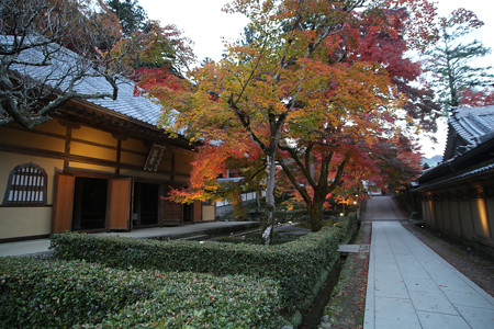 永源寺 - 021