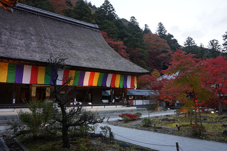 永源寺 - 023
