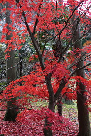 玉雲寺 - 02