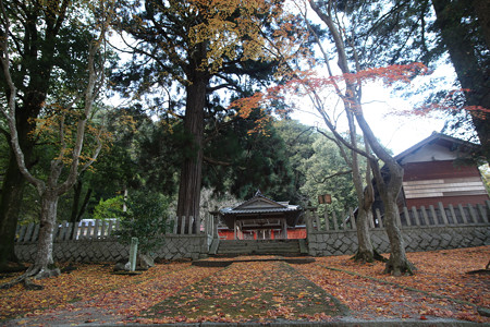 九手神社 - 05