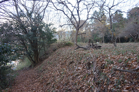 野間城 - 09