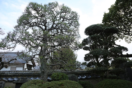 高杉晋作誕生地 - 05