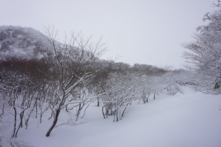 御在所岳 - 06