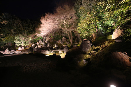 円徳院 (2)