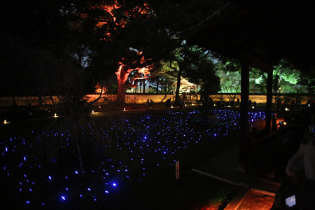 青蓮院 (1)