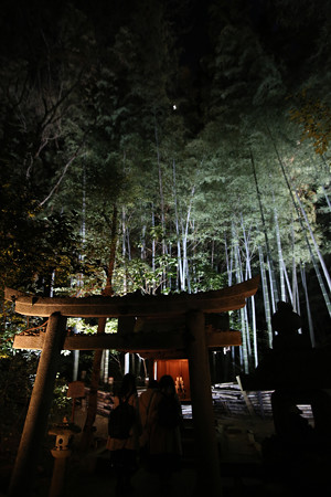 青蓮院 (12)