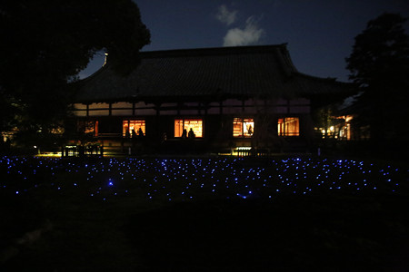 青蓮院 (14)
