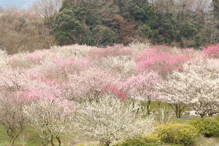 いなべ農業公園 (1)