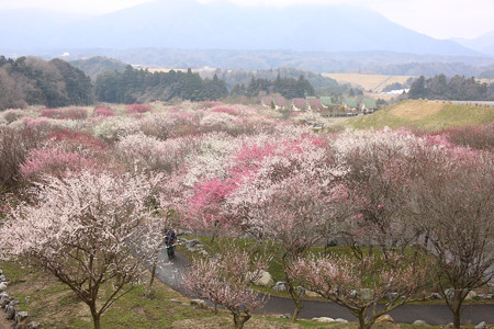 いなべ農業公園 (2)