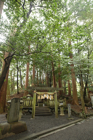 椿大神社 (1)