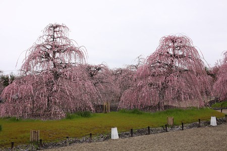 鈴鹿の森庭園