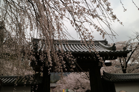 醍醐寺 (2)
