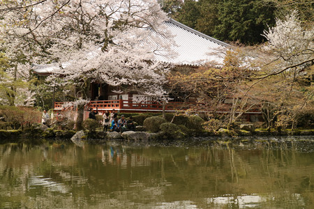 醍醐寺 (9)