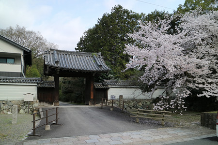 随心院 (7)
