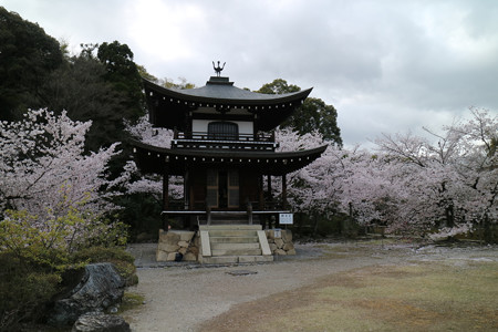 勧修寺 (4)
