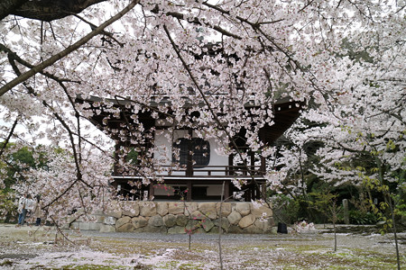 勧修寺 (10)